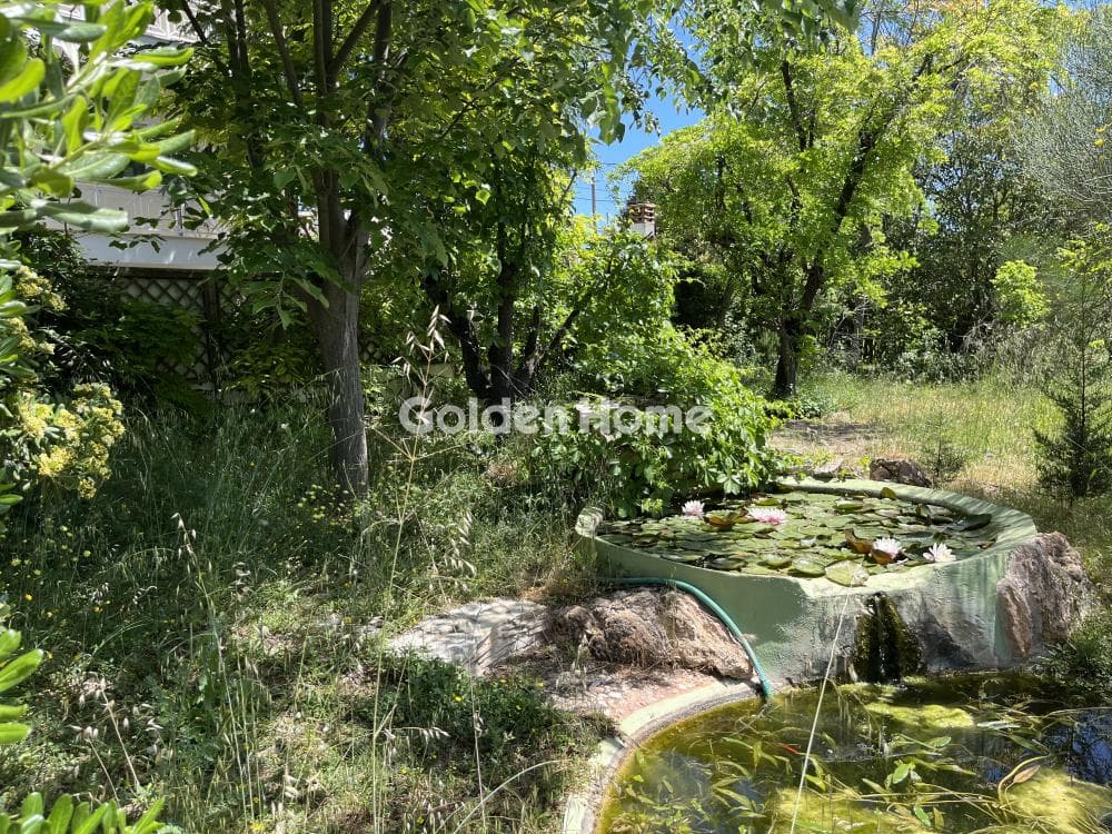 Building Plot in Megala Sxoinia A, Acharnes — Photo 11 of 13