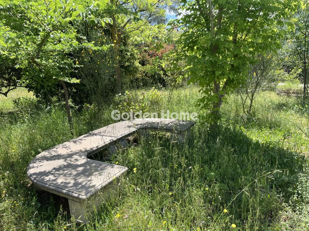 Building Plot in Megala Sxoinia A, Acharnes — Photo 12 of 13