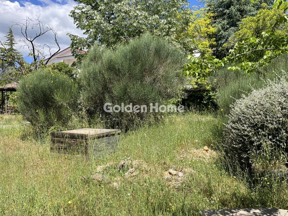 Building Plot in Megala Sxoinia A, Acharnes — Photo 13 of 13