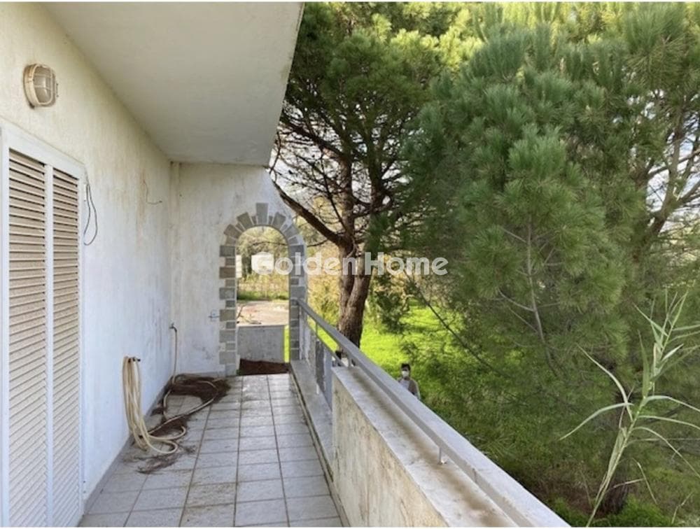 Μονοκατοικία στην Παναγιά, Οινόφυτα — Φωτογραφία 8 από 11