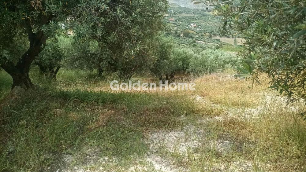 Οικόπεδο στην Βασιλείες, Αρχάνες
