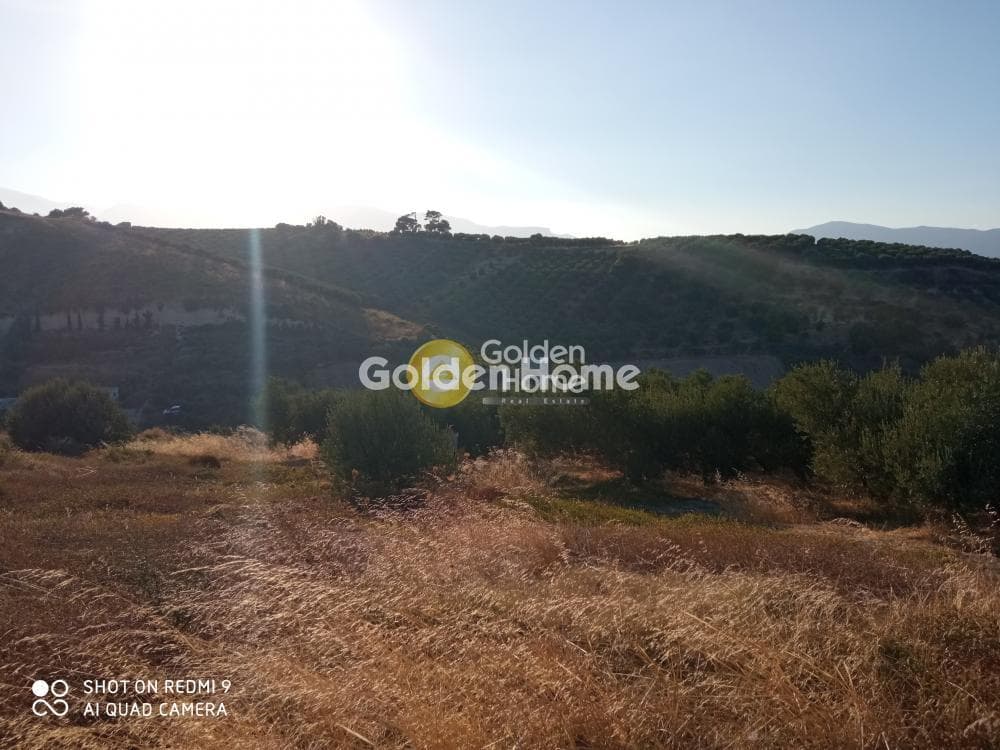 Οικόπεδο στην Αθάνατοι, Τέμενος — Φωτογραφία 8 από 8
