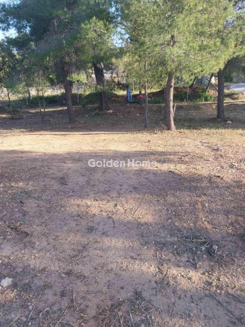 Οικόπεδο στην Θερμά, Αίγινα — Φωτογραφία 2 από 3
