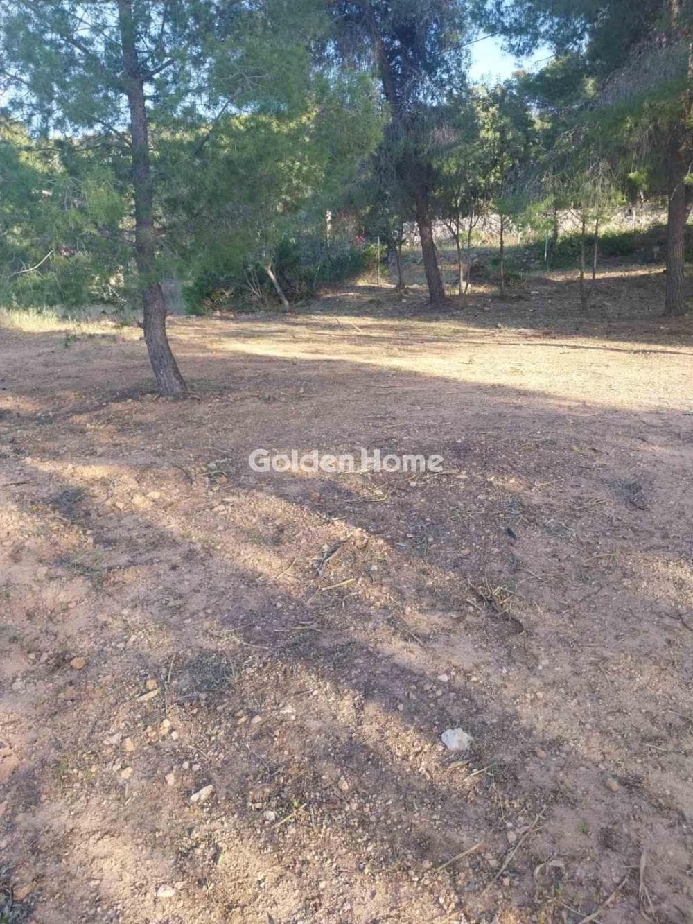 Οικόπεδο στην Θερμά, Αίγινα — Φωτογραφία 3 από 3