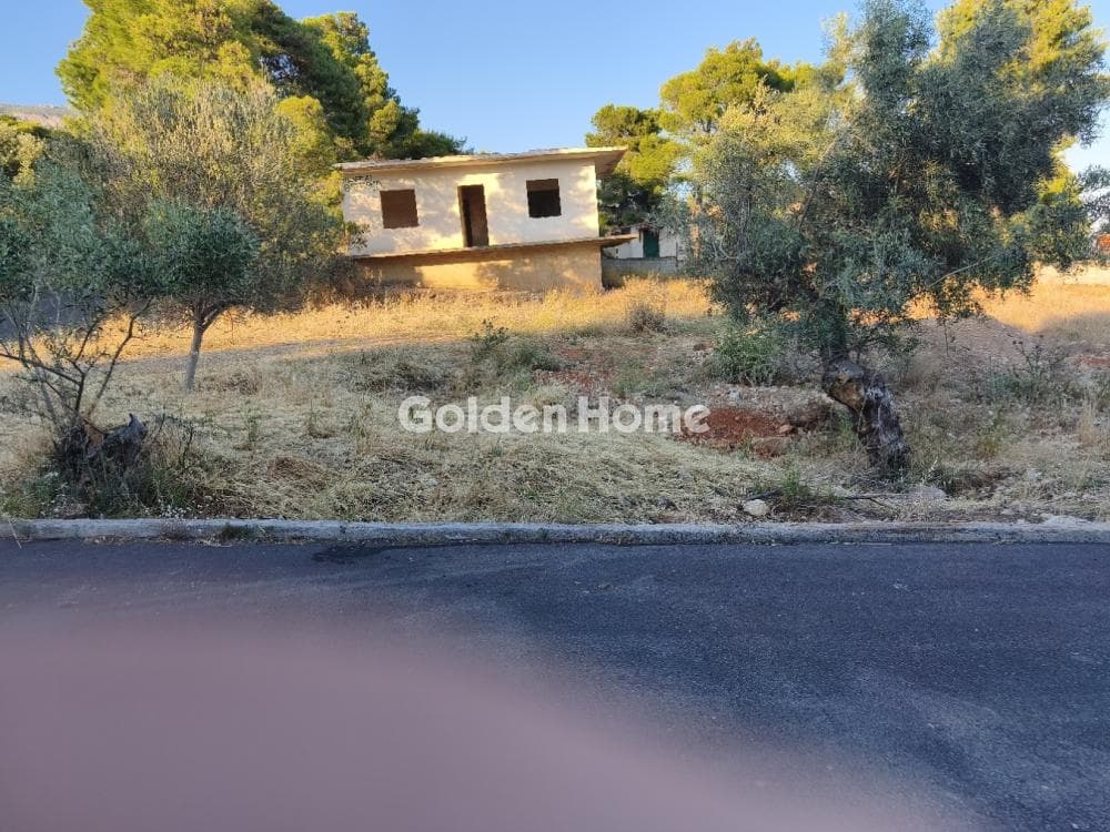 Μονοκατοικία στην Κινέτα, Άγιοι Θεόδωροι — Φωτογραφία 18 από 33