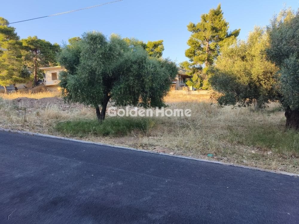 Μονοκατοικία στην Κινέτα, Άγιοι Θεόδωροι — Φωτογραφία 16 από 33