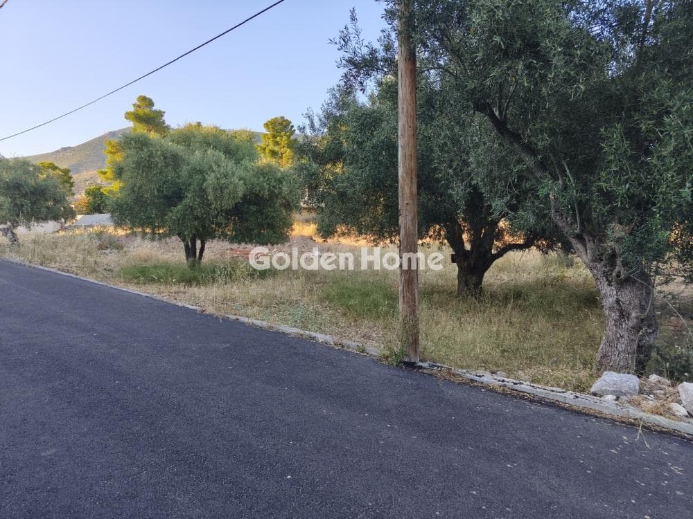 Μονοκατοικία στην Κινέτα, Άγιοι Θεόδωροι — Φωτογραφία 20 από 33