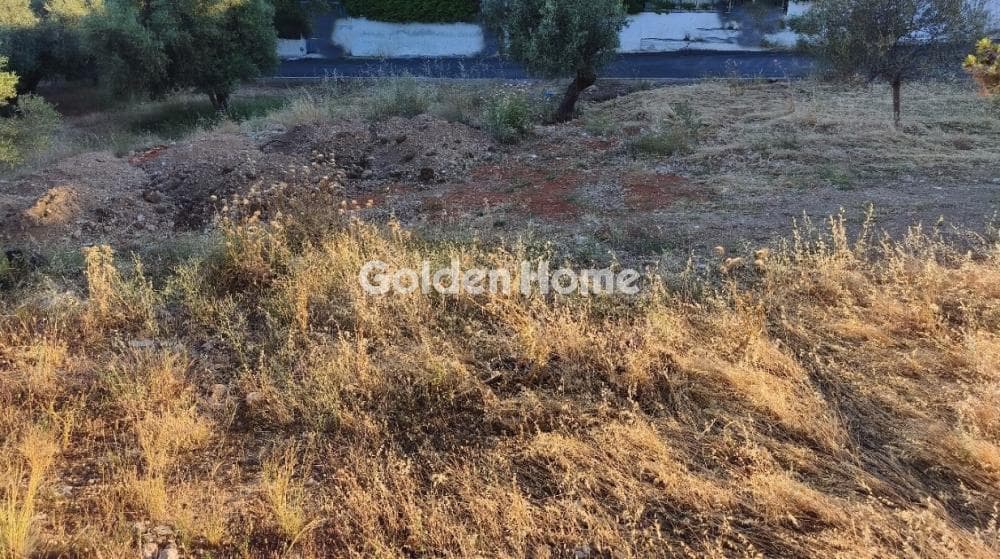 Μονοκατοικία στην Κινέτα, Άγιοι Θεόδωροι — Φωτογραφία 25 από 33