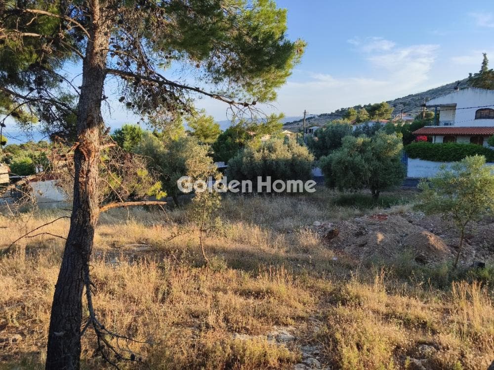Μονοκατοικία στην Κινέτα, Άγιοι Θεόδωροι — Φωτογραφία 26 από 33