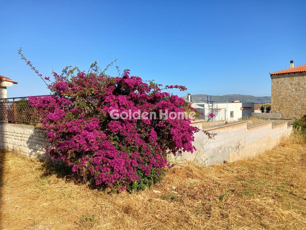 Parcel in Porto Ennia, Keratea — Photo 5 of 8
