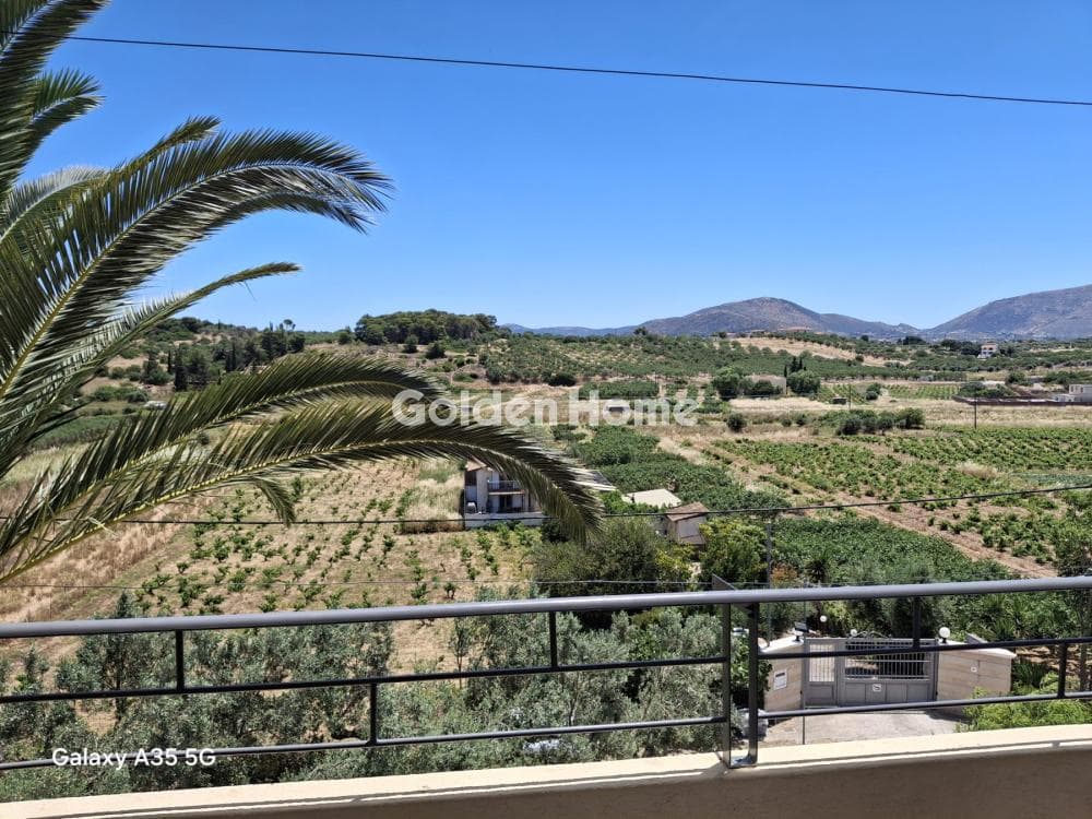House in Agia Triada, Markopoulo — Photo 9 of 26