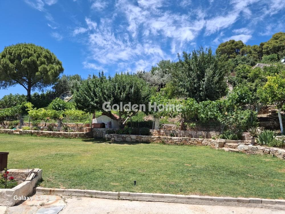 House in Agia Triada, Markopoulo — Photo 26 of 26