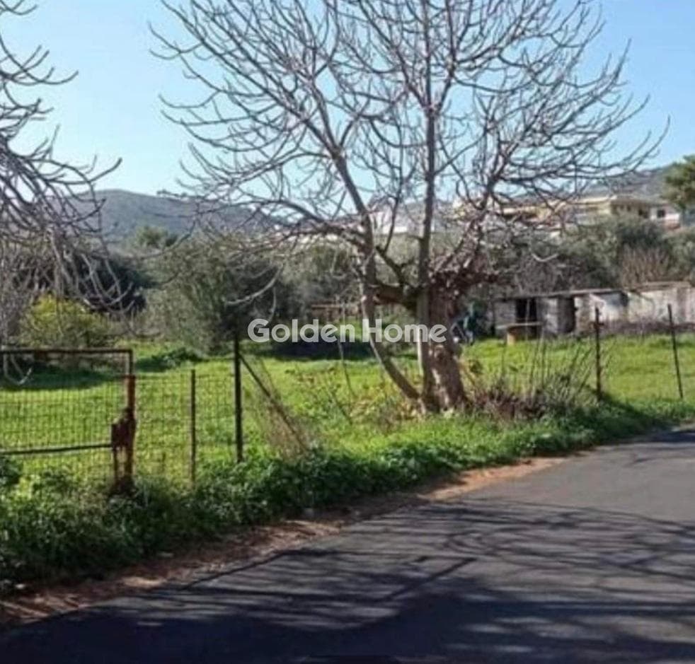 Οικόπεδο στην Αγία Μαρίνα Νέας Μάκρης, Νέα Μάκρη — Φωτογραφία 7 από 7