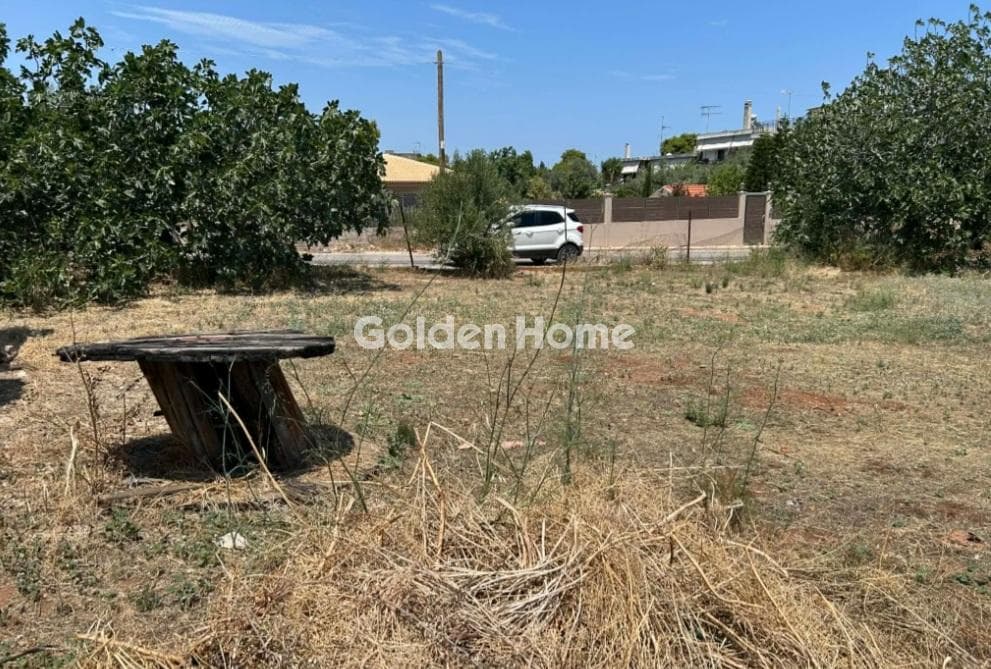 Οικόπεδο στην Αγία Μαρίνα Νέας Μάκρης, Νέα Μάκρη — Φωτογραφία 3 από 7