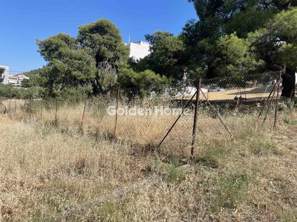 Οικόπεδο στην Ζοφριά, Άνω Λιόσια — Φωτογραφία 3 από 4