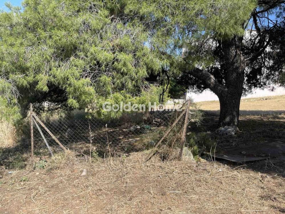 Οικόπεδο στην Ζοφριά, Άνω Λιόσια — Φωτογραφία 4 από 4