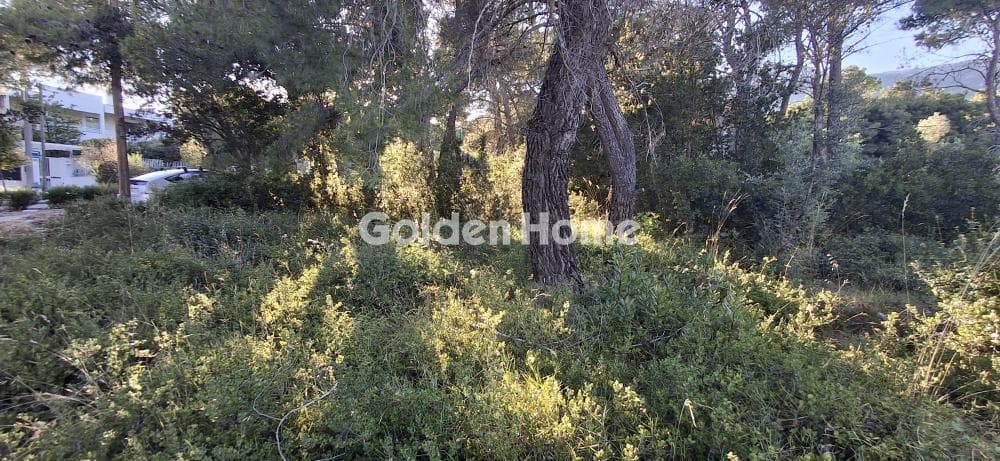 Οικόπεδο στην Μεγάλα Σχοινία Α, Αχαρνές — Φωτογραφία 7 από 10