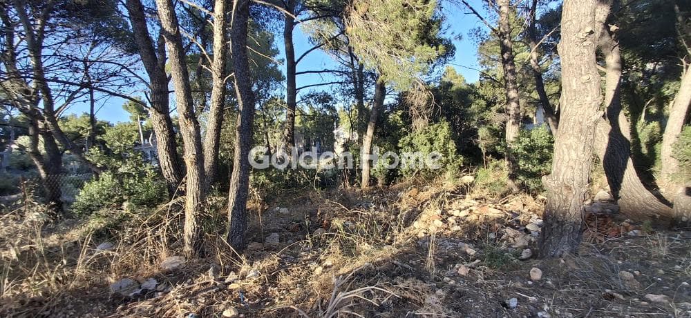 Οικόπεδο στην Μεγάλα Σχοινία Α, Αχαρνές — Φωτογραφία 9 από 10