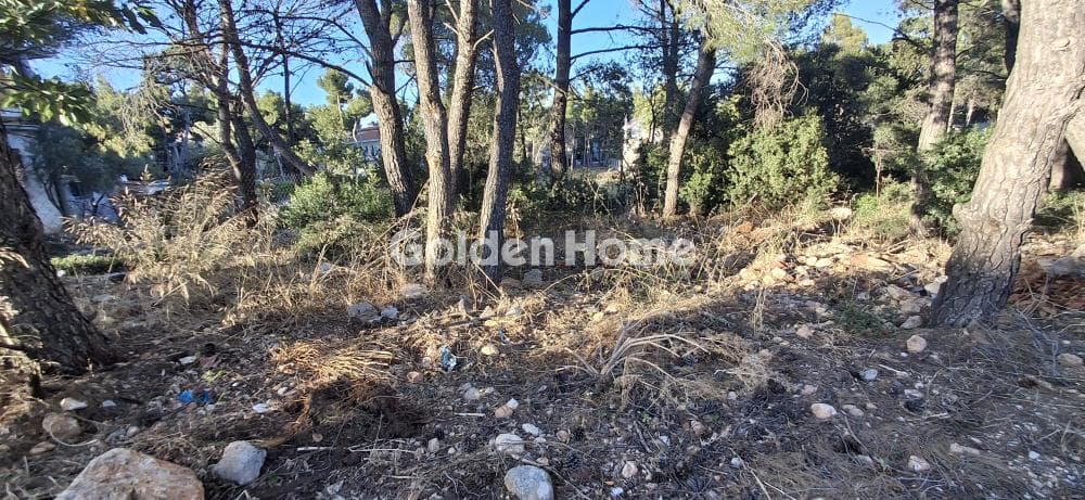 Οικόπεδο στην Μεγάλα Σχοινία Α, Αχαρνές — Φωτογραφία 10 από 10