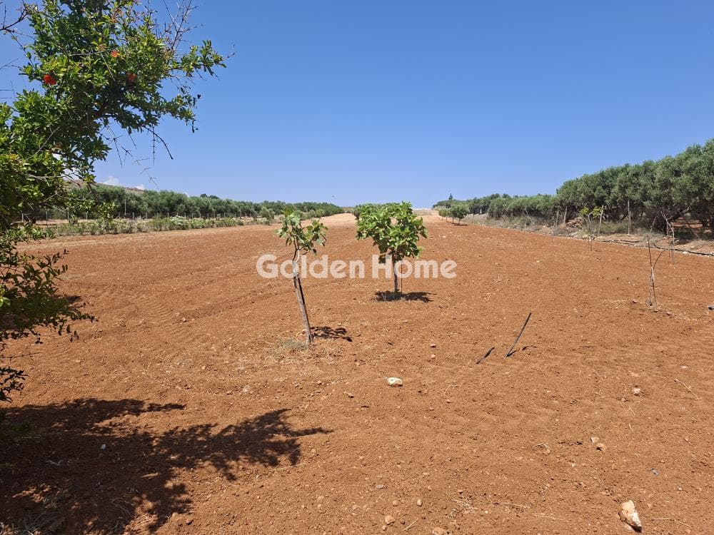 Building Plot in Elia, Episkopi — Photo 2 of 25