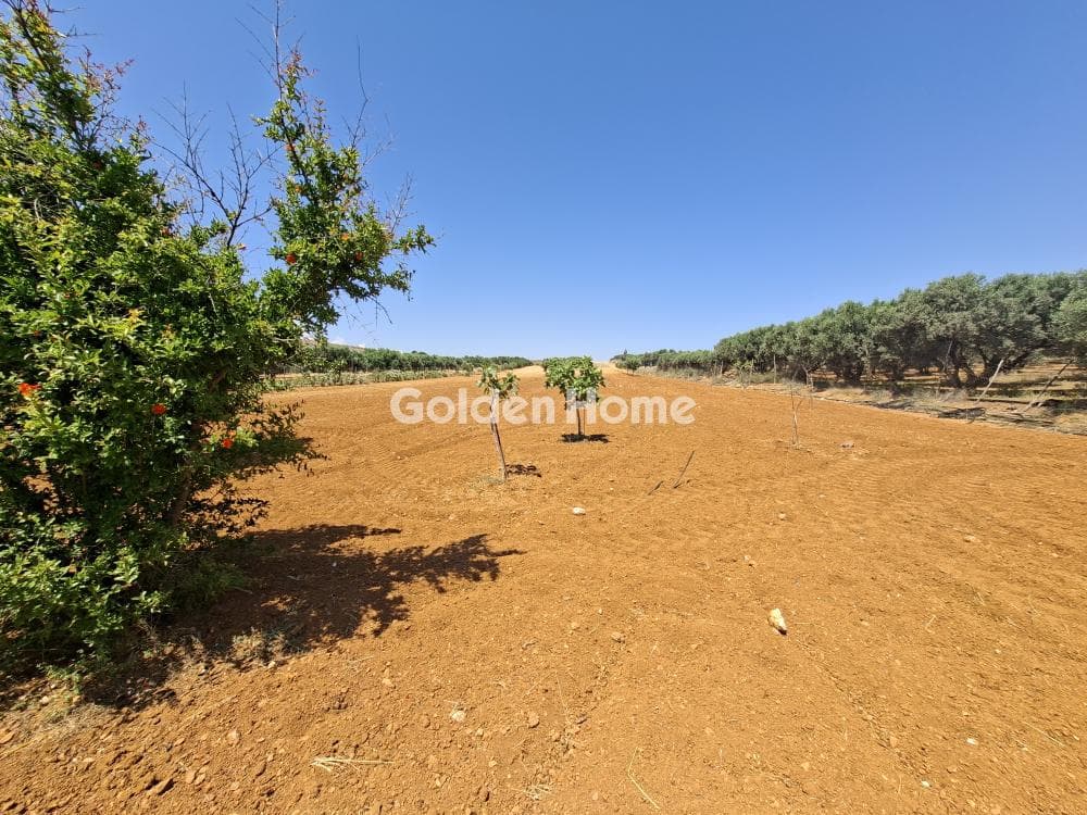 Building Plot in Elia, Episkopi — Photo 3 of 25