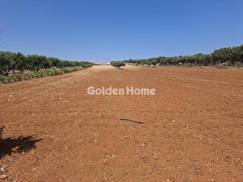 Building Plot in Elia, Episkopi — Photo 5 of 25