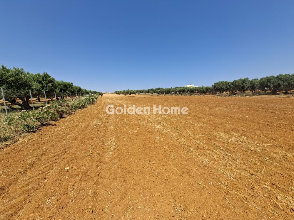 Building Plot in Elia, Episkopi — Photo 6 of 25