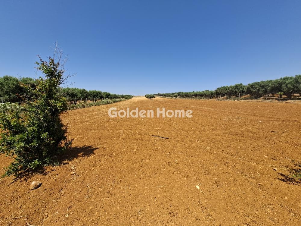 Building Plot in Elia, Episkopi — Photo 8 of 25