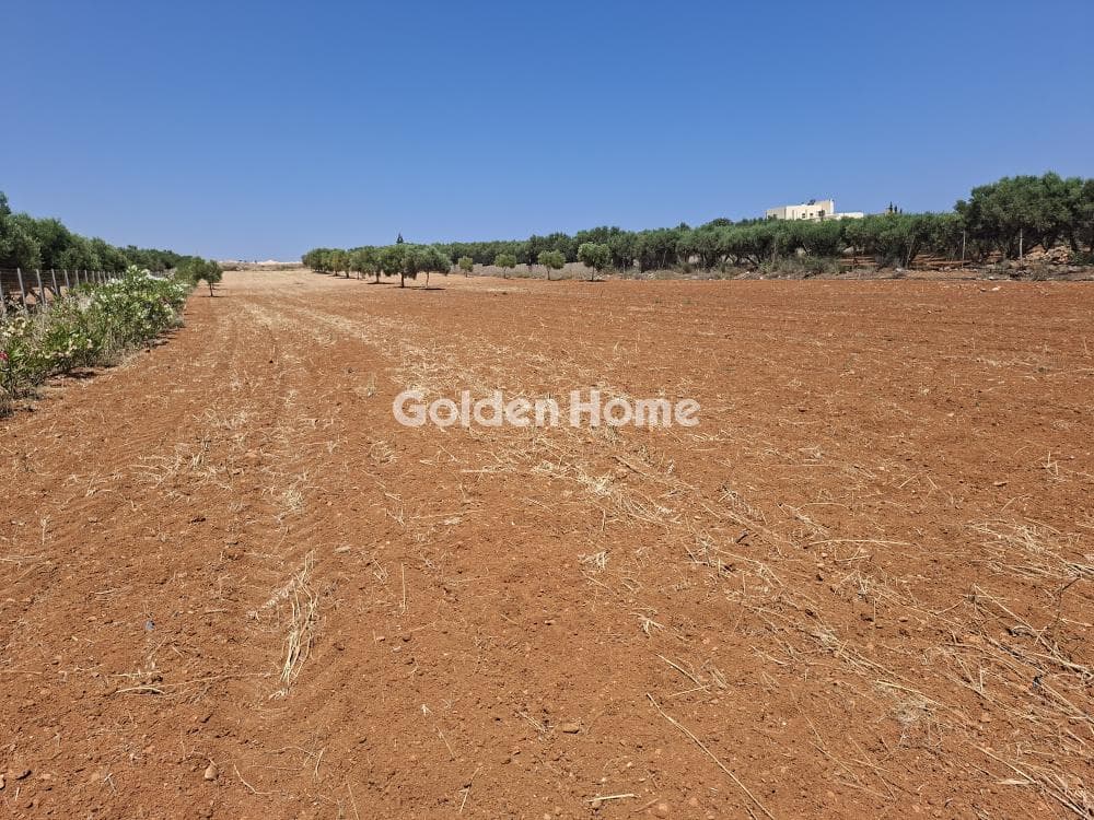 Building Plot in Elia, Episkopi — Photo 7 of 25