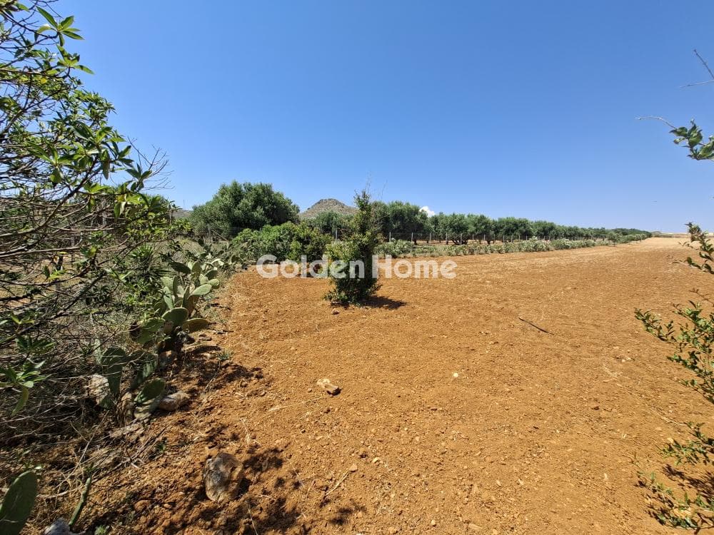 Building Plot in Elia, Episkopi — Photo 9 of 25