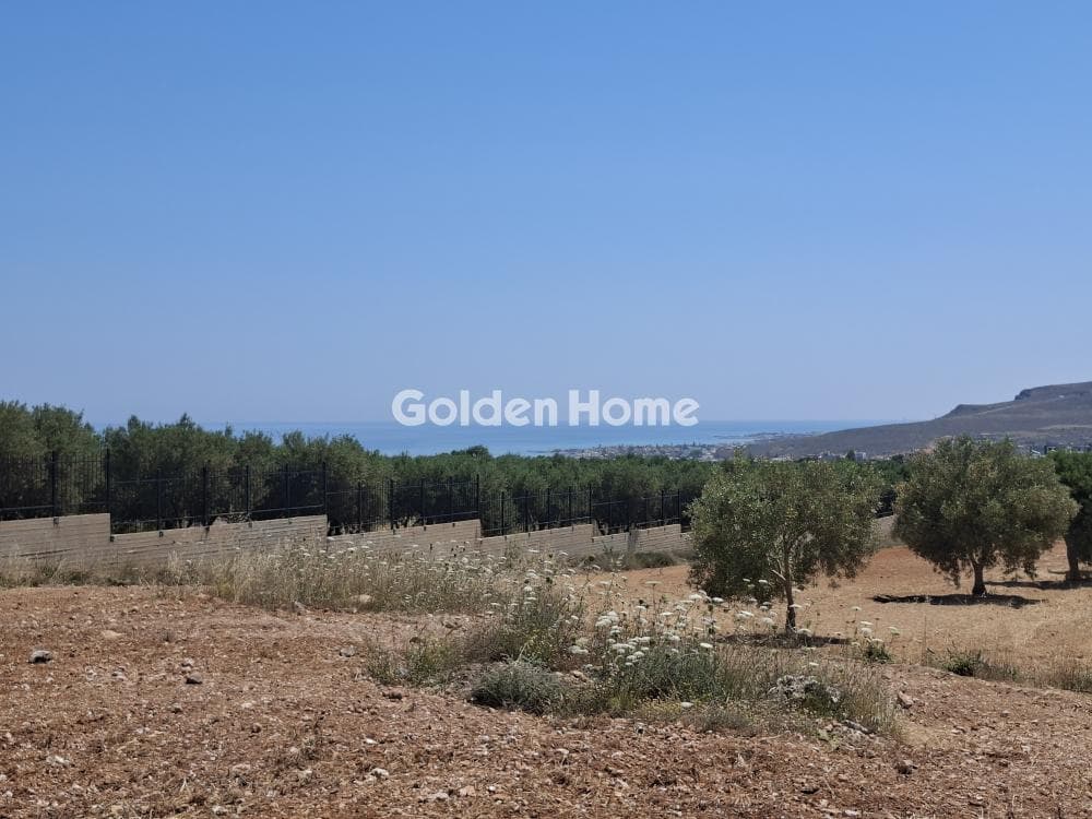 Building Plot in Elia, Episkopi — Photo 11 of 25
