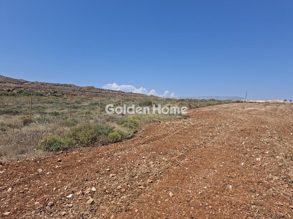 Building Plot in Elia, Episkopi — Photo 12 of 25
