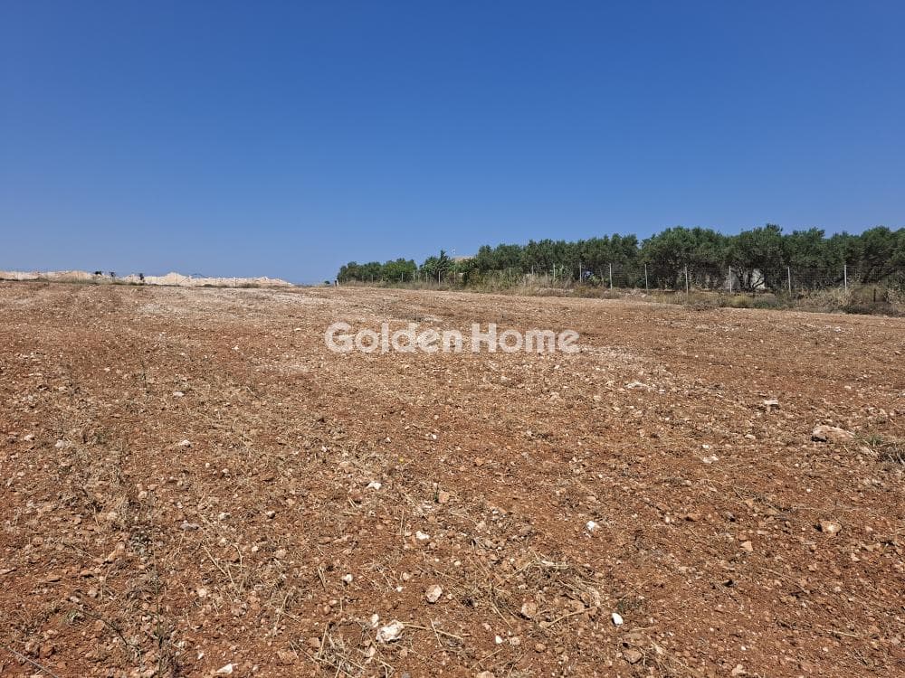 Building Plot in Elia, Episkopi — Photo 13 of 25
