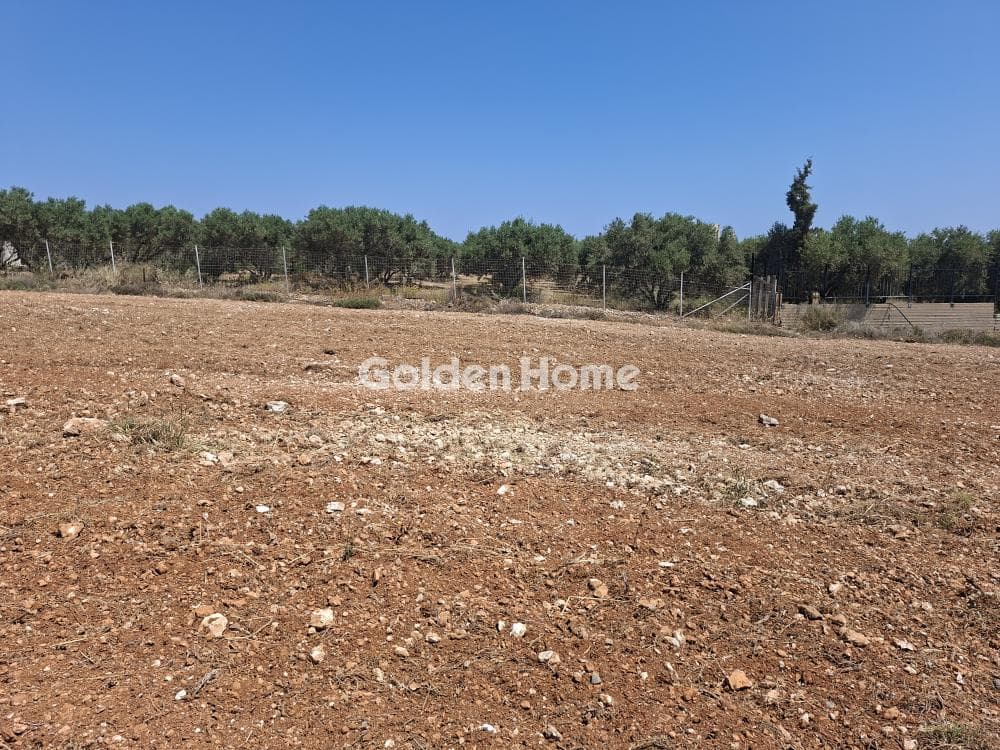 Building Plot in Elia, Episkopi — Photo 14 of 25