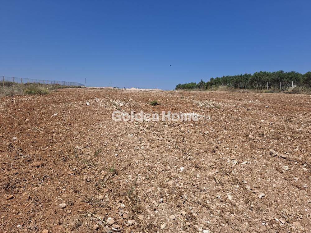 Building Plot in Elia, Episkopi — Photo 15 of 25