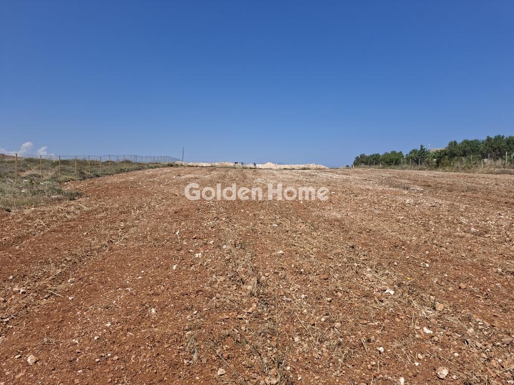 Building Plot in Elia, Episkopi — Photo 16 of 25