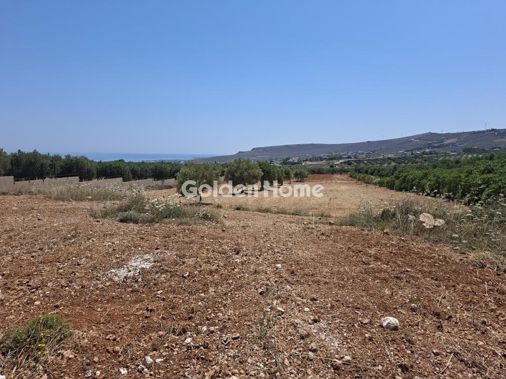 Building Plot in Elia, Episkopi — Photo 17 of 25