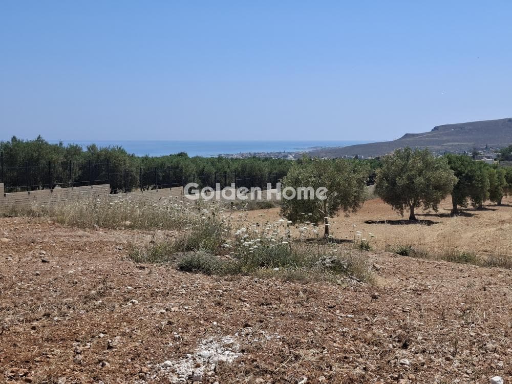Building Plot in Elia, Episkopi — Photo 18 of 25
