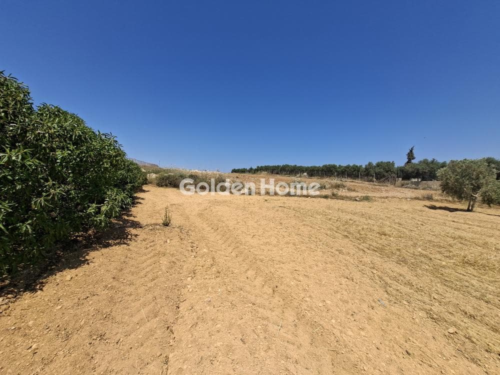 Building Plot in Elia, Episkopi — Photo 19 of 25