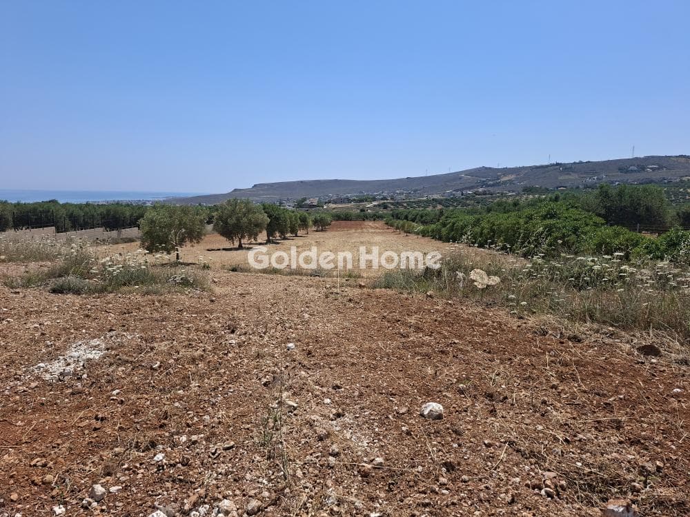 Building Plot in Elia, Episkopi — Photo 1 of 25