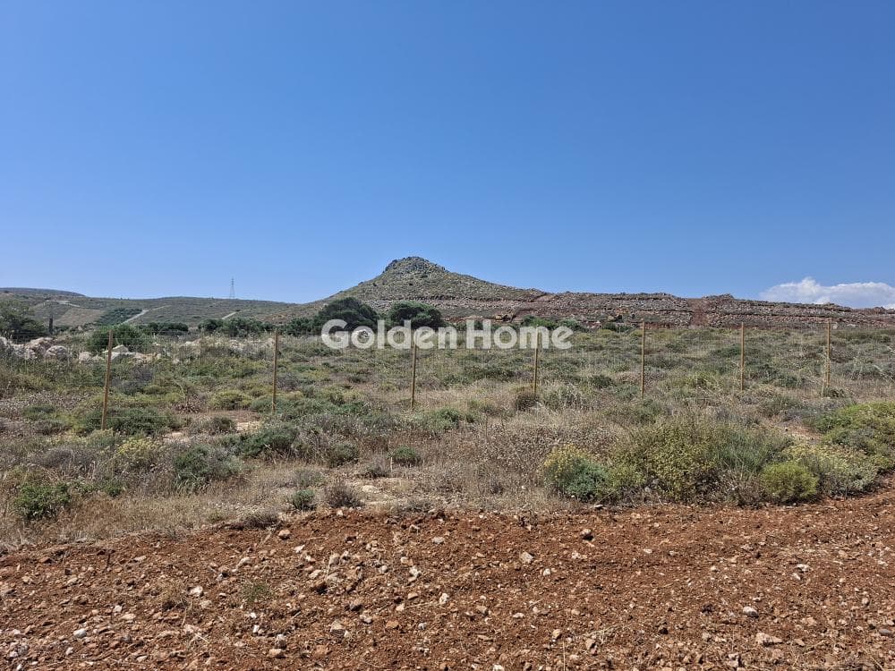 Building Plot in Elia, Episkopi — Photo 21 of 25