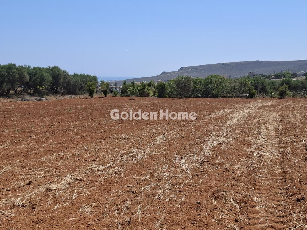 Building Plot in Elia, Episkopi — Photo 22 of 25
