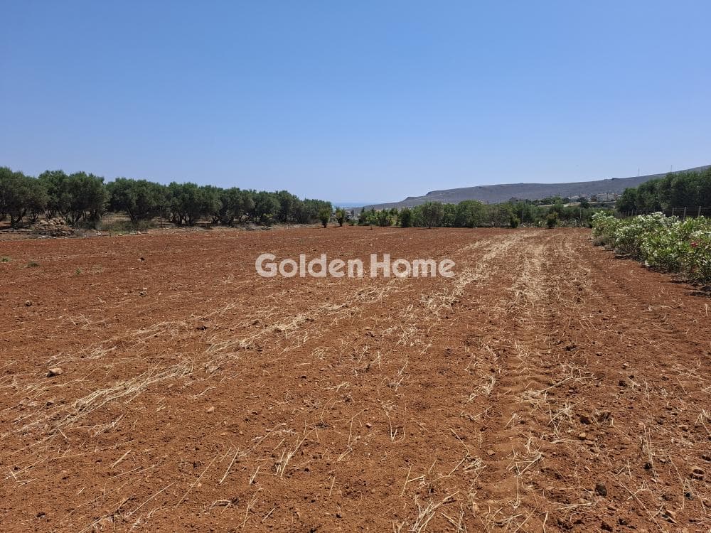 Building Plot in Elia, Episkopi — Photo 23 of 25