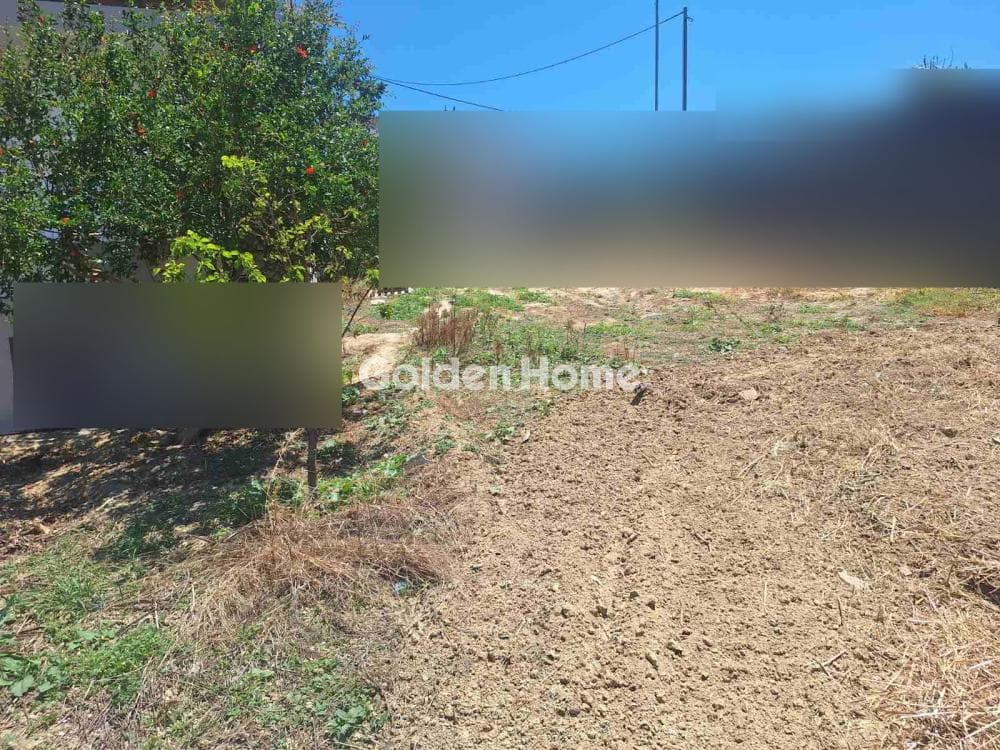 Building Plot in Agia Triada, Heraclion Cretes — Photo 15 of 18