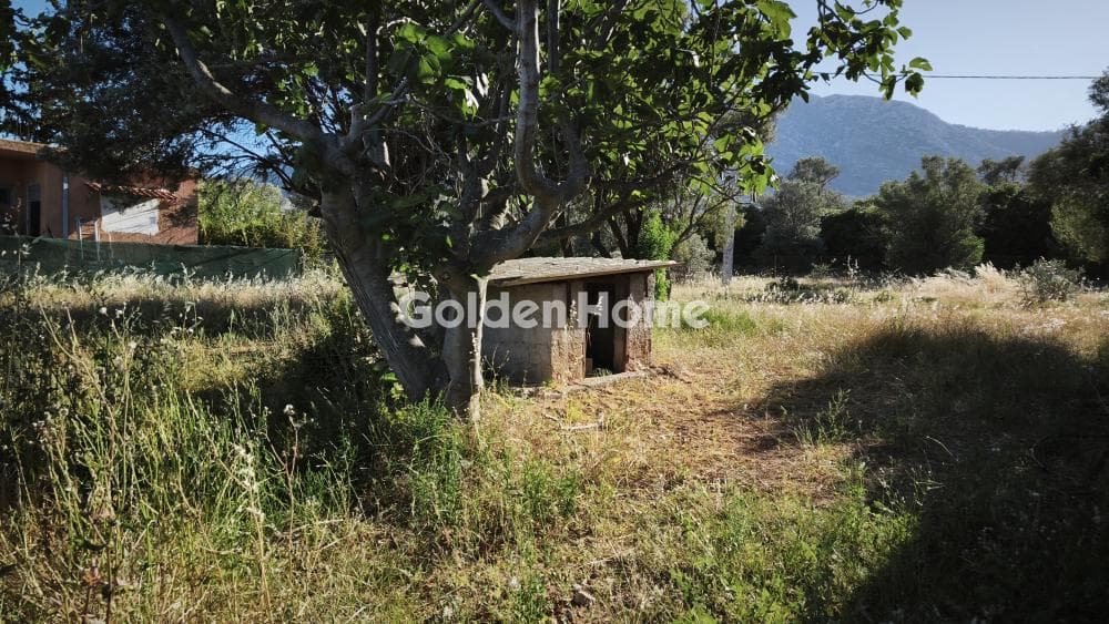 Οικόπεδο στην Αγία Τριάδα, Παιανία — Φωτογραφία 6 από 6