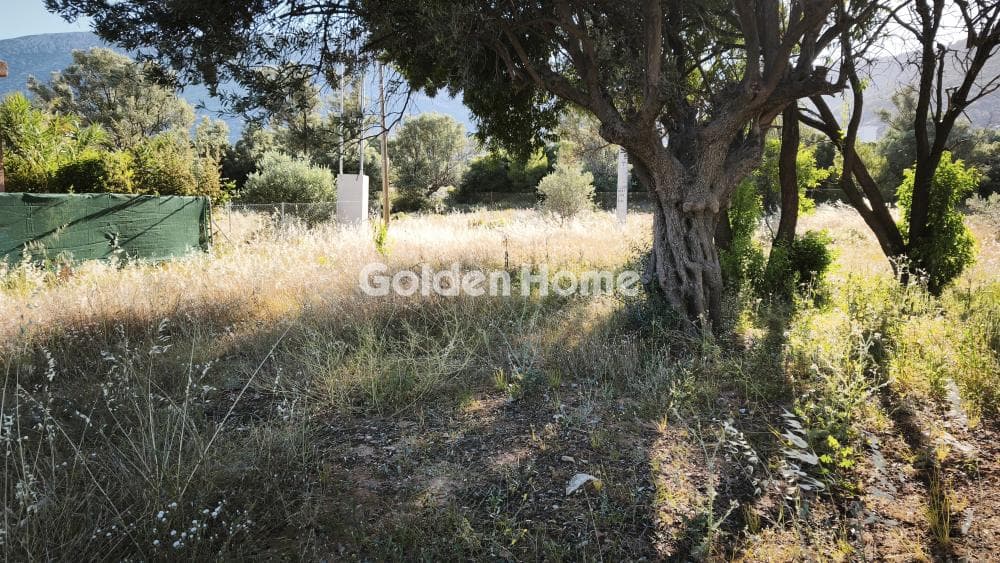 Οικόπεδο στην Αγία Τριάδα, Παιανία — Φωτογραφία 1 από 6
