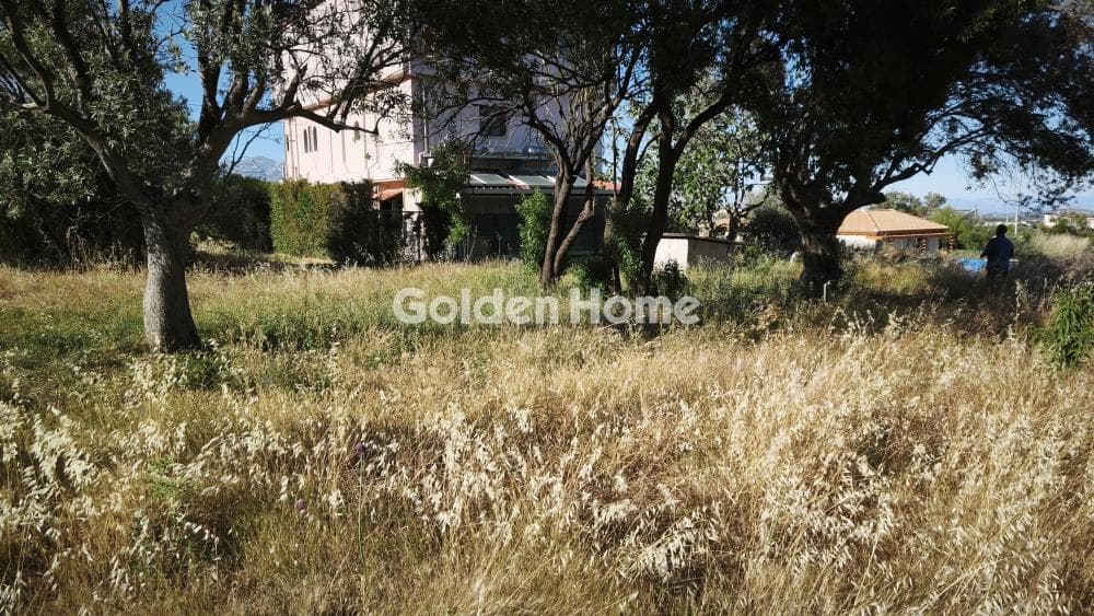 Οικόπεδο στην Αγία Τριάδα, Παιανία — Φωτογραφία 2 από 6