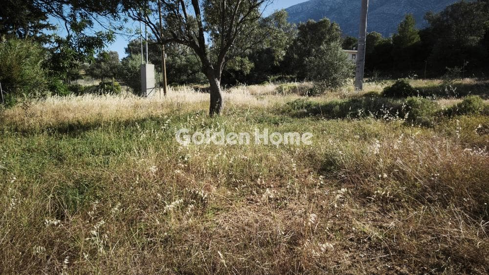 Οικόπεδο στην Αγία Τριάδα, Παιανία — Φωτογραφία 3 από 6