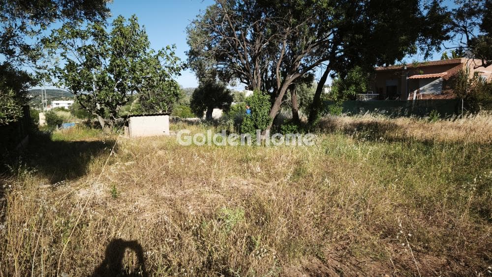 Οικόπεδο στην Αγία Τριάδα, Παιανία — Φωτογραφία 5 από 6
