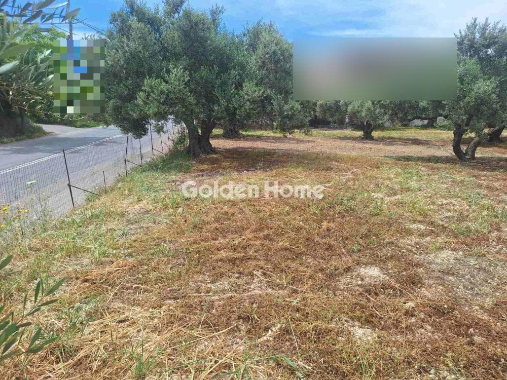 Οικόπεδο στην Βασιλείες, Αρχάνες — Φωτογραφία 3 από 7